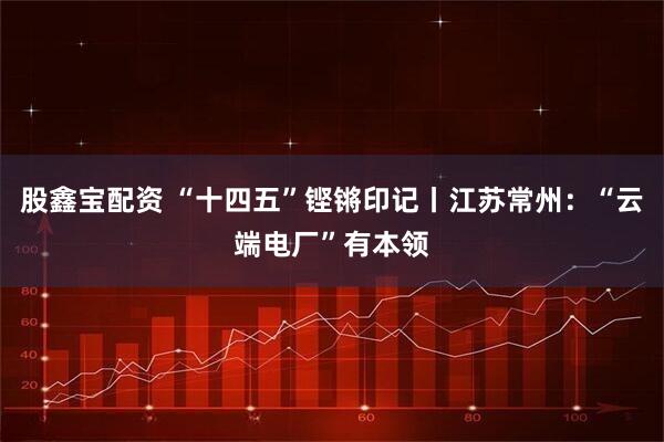 股鑫宝配资 “十四五”铿锵印记丨江苏常州：“云端电厂”有本领