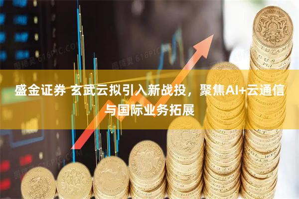 盛金证券 玄武云拟引入新战投，聚焦AI+云通信与国际业务拓展