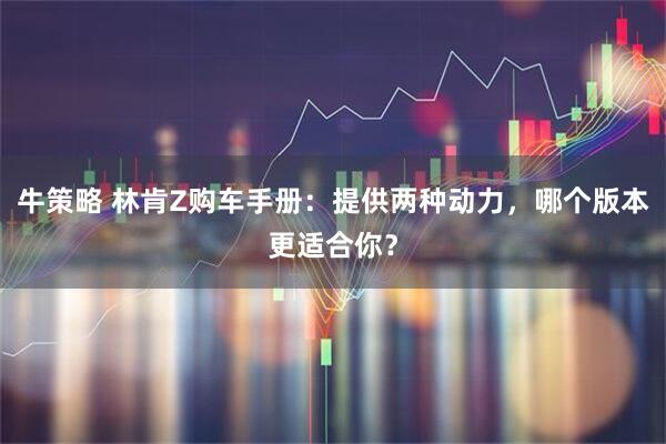 牛策略 林肯Z购车手册：提供两种动力，哪个版本更适合你？